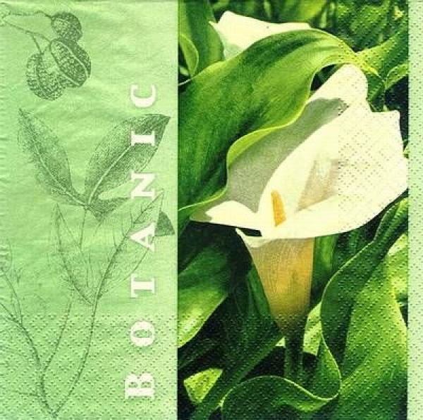 s8568 - Calla Botanica  - Napkins - Package - 20 pcs.