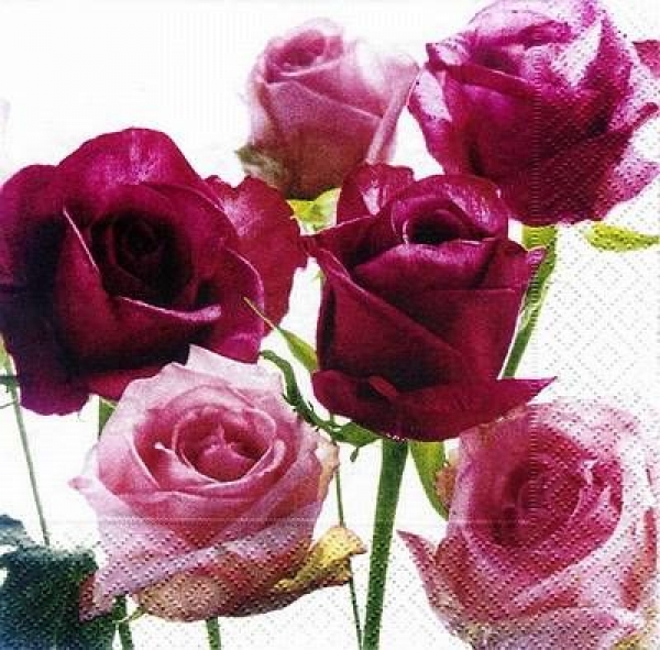 s8670 - Bouquet of Roses - Napkins - Package - 20 pcs.