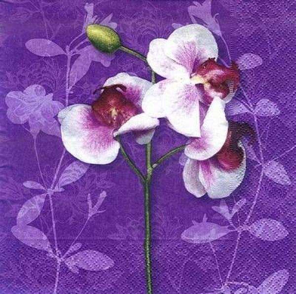 s8690 - Classic Orchid - Napkins - Package - 20 pcs..