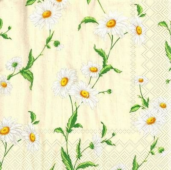 s8978 - Marguerite - cream - Napkins - Package - 20 pcs.