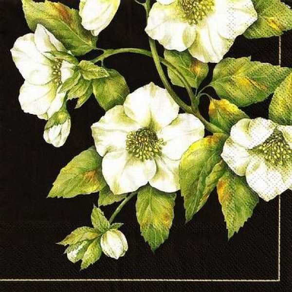 s9241 - Hellebores - black - Napkins - Package - 20 pcs..