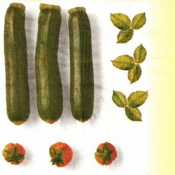 s9246 - Zucchini - Servietten - Packung - 30 Stück