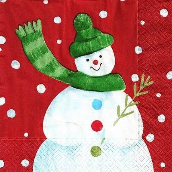s9405 - Frosty - Servietten - Packung - 20 Stück