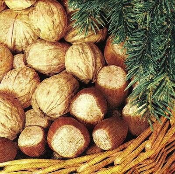 s9490 - Nutty - Servietten - Packung - 20 Stück