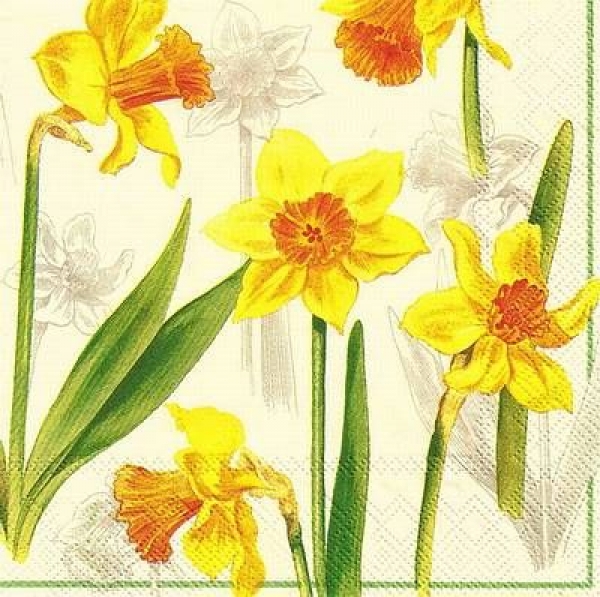 s9557 - Narcissus - cream - Servietten - Packung - 20 Stück.
