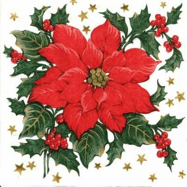 s9585 - Weihnachtsstern - Servietten - Packung - 40 Stück