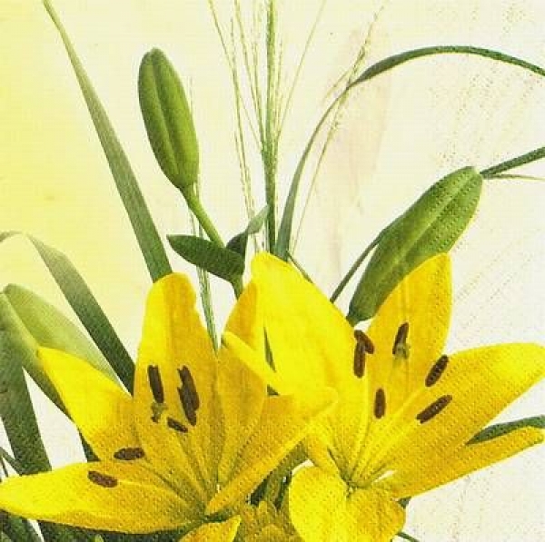 s9612 - Lilienzauber - gelb - Servietten - Packung - 20 Stück