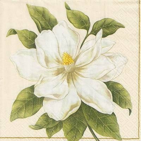 s9732 – Weiße Blüte – Servietten – 33 x 33 cm - Packung – 20 Stück