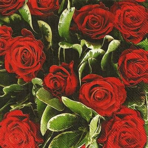 s9833 - Red Roses - Servietten - Packung - 20 Stück