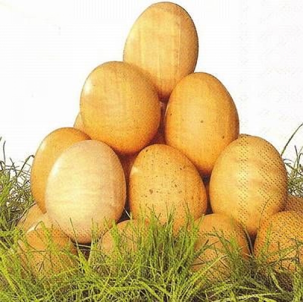 s9839 - Egg Tower - Napkins - Package - 20 pcs.