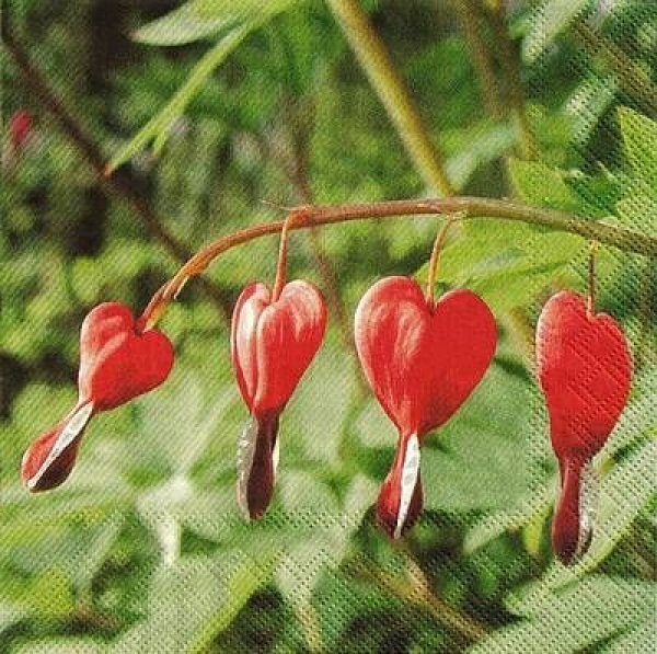 s9841 - Bleeding Heart - Servietten - Packung - 20 Stück
