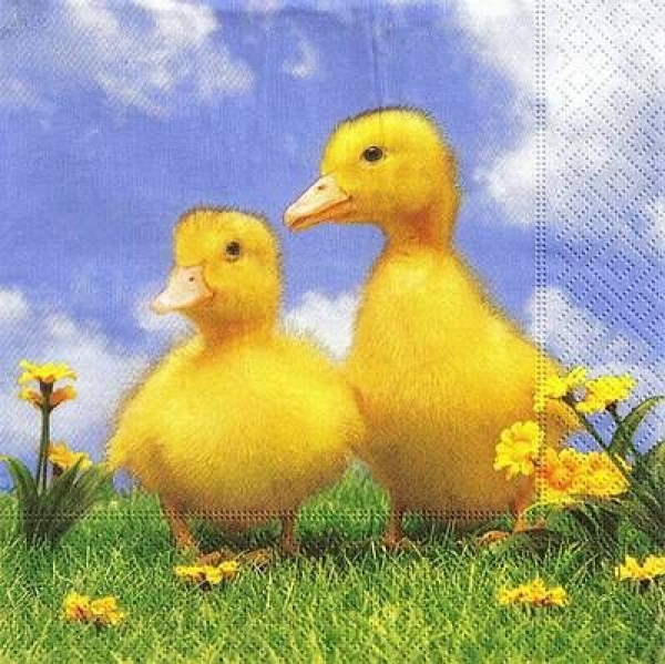 s9855 - Lovely Ducklings - Servietten - Packung - 20 Stück