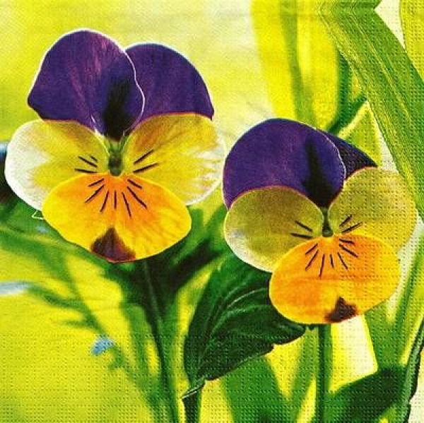 s9973 - Two Pansies - Servietten - Packung - 20 Stück