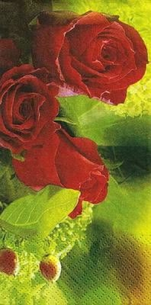 s9z10226 - My Love for you - Buffet - 16er-Paket