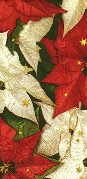 s9z10245 - Poinsettia with Stars - Buffet - Servietten - Packung - 16 Stück