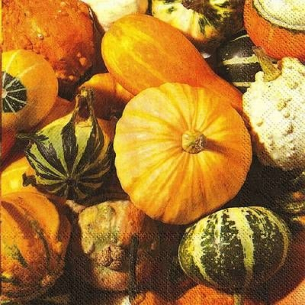 s9z10275 - Fall Fruits - Servietten - Packung - 20 Stück