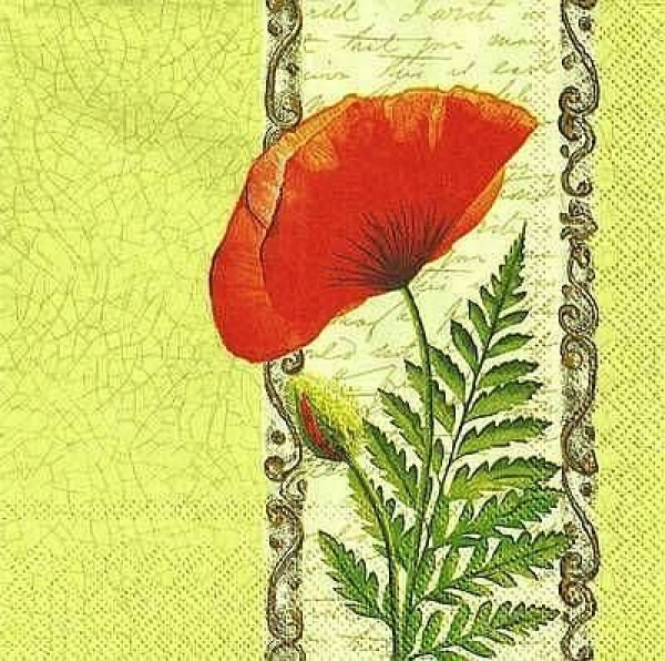 s9z10347 - Klatschmohn - Napkins - Package - 20 pcs.