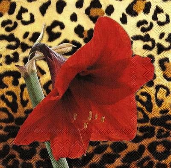 s9z10513 - Amaryllis - Servietten - Packung - 20 Stück - Servietten - Packung - 20 Stück