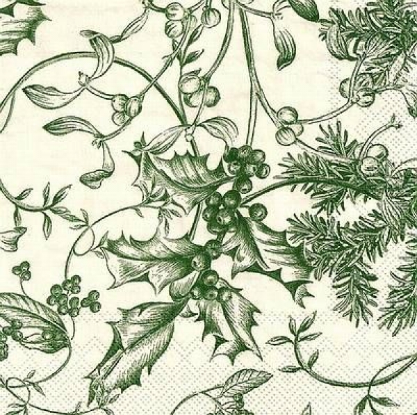 s9z10520 - Winter Toile - green - Servietten - Packung - 20 Stück