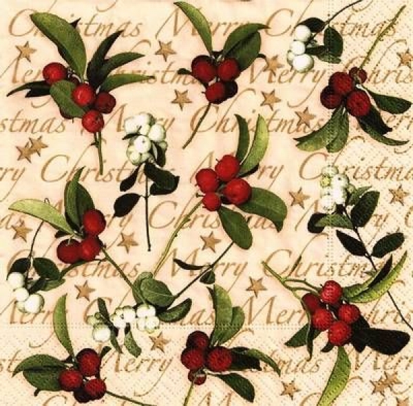 s9z10607 - Winterberries - Servietten - Packung - 20 Stück