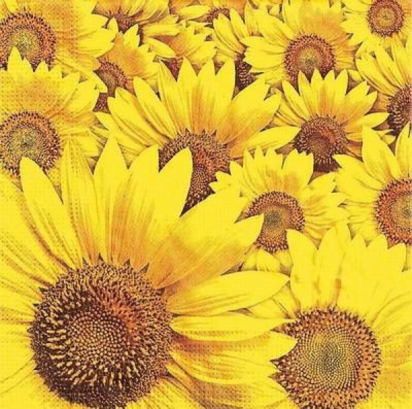 s9z10856 - Sonenblumen - Napkins - Package - 20 pcs.