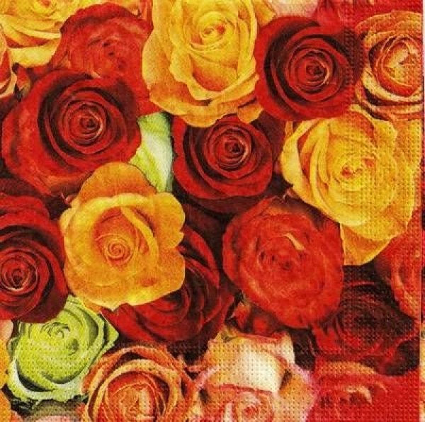 s9z10872 - Rosen - Napkins - Package - 20 pcs.