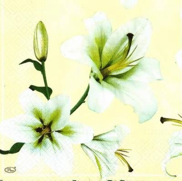 s9z10970 - White Lily - cream - Napkins - Package - 20 pcs..