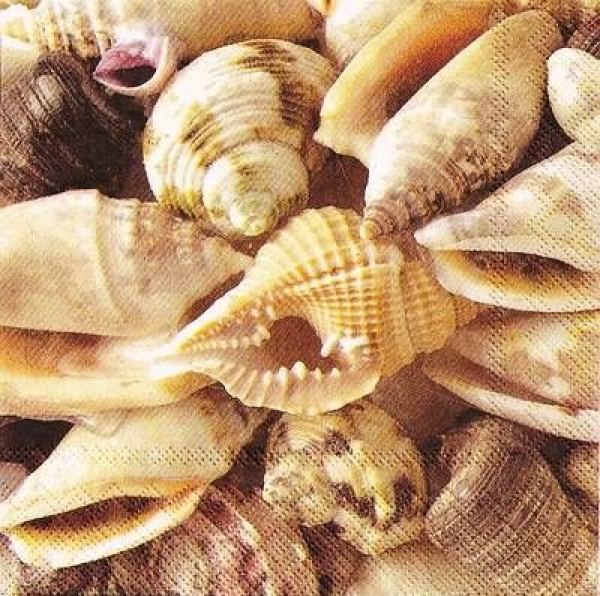s9z11018 - Sea Shells - Servietten - Packung - 20 Stück