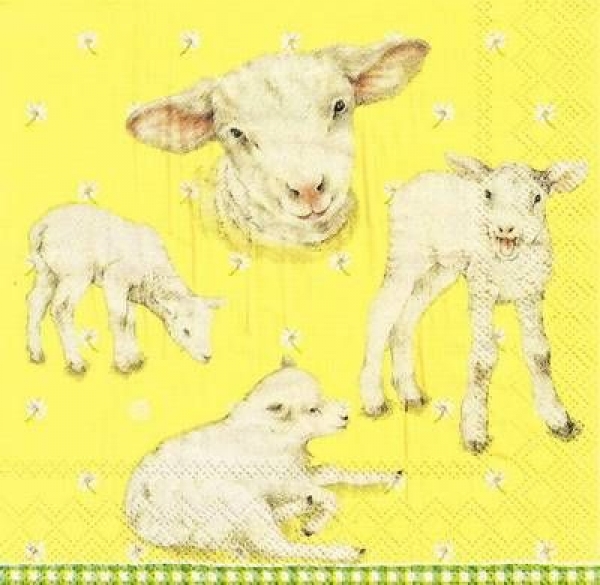 s9z11041 - Little Lambs - yellow - Napkins - Package - 20 pcs.