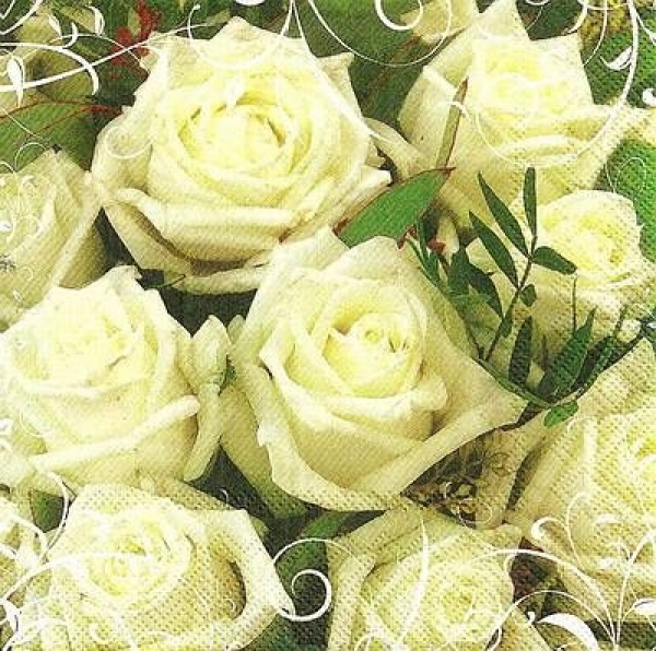 s9z11043 - Champagne Roses - Servietten - Packung - 20 Stück