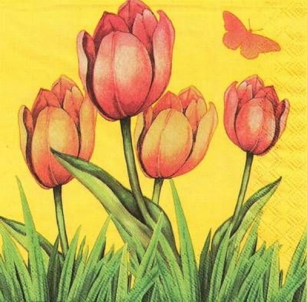 s9z11095 - Tulpen - Servietten - Packung - 40 Stück