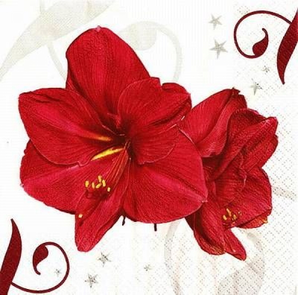 s9z11163 - Modern Amaryllis - Servietten - Packung - 20 Stück