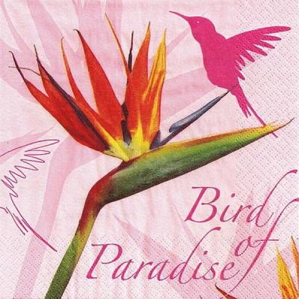 s9z11182 - Bird of Paradise - pink - Servietten - Packung - 20 Stück