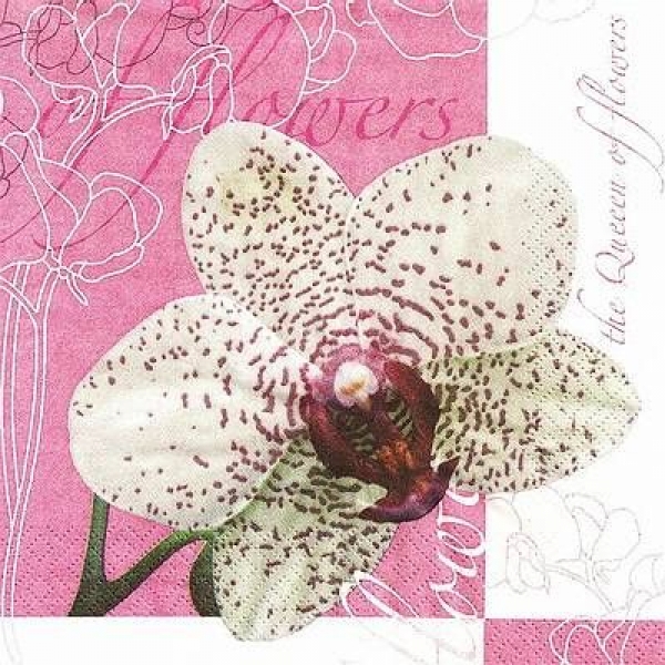 s9z11185 - Queen of Flowers - light pink - Packung  20 Stück