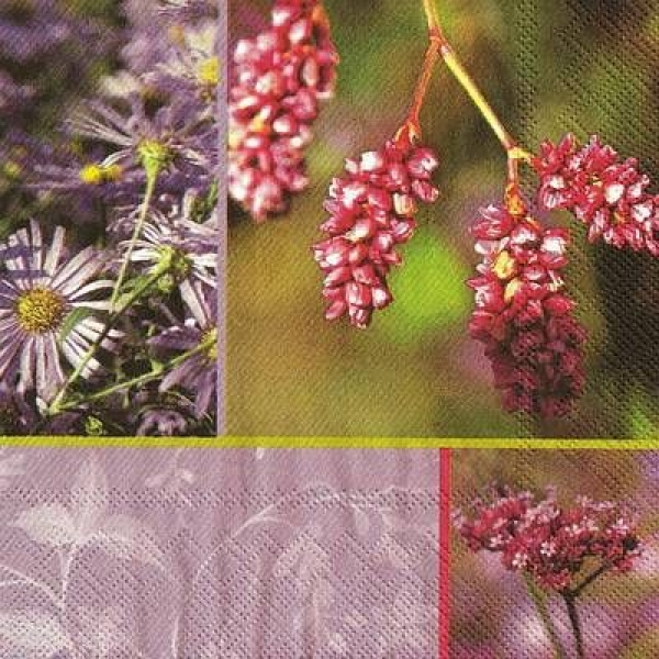 s9z11290 - Violet Hour - Servietten - Packung - 20 Stück