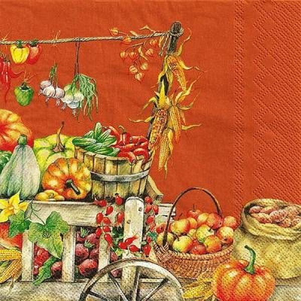 s9z11302 - Bountiful - terracotta - Servietten - Packung - 20 Stück