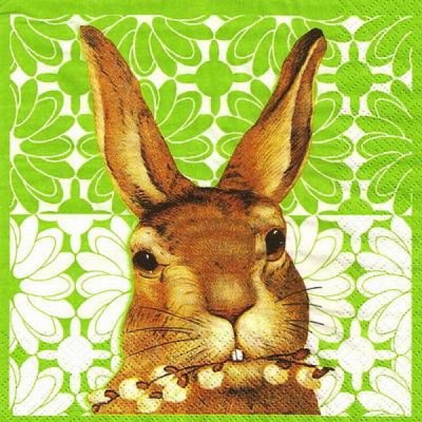 s9z11384 - Jack the Rabbit - green - Servietten - Packung - 20 Stück