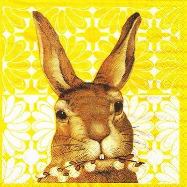 s9z11385 - Jack the Rabbit - yellow - Servietten - Packung - 20 Stück