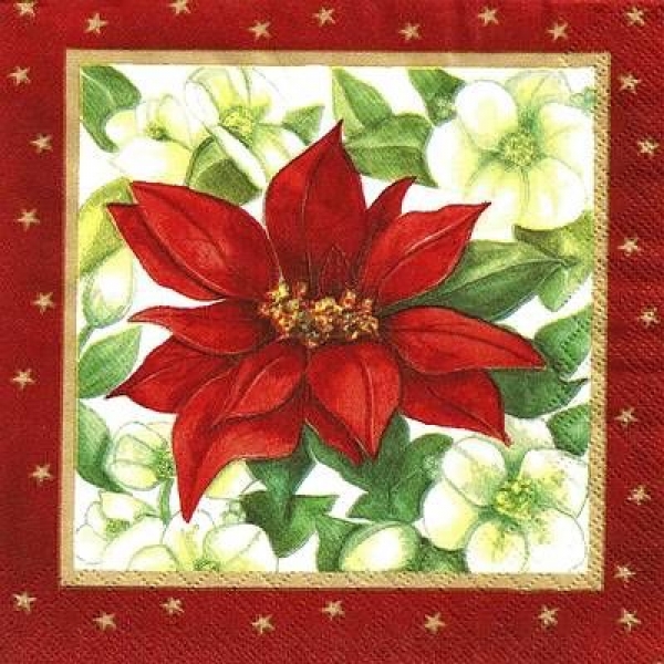s9z11395 - Weihnachtsstern - Napkins - Package - 20 pcs.