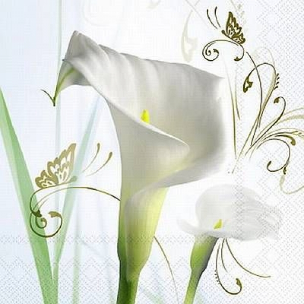 s9z11410 - Calla of Romance - Servietten - Packung - 20 Stück.