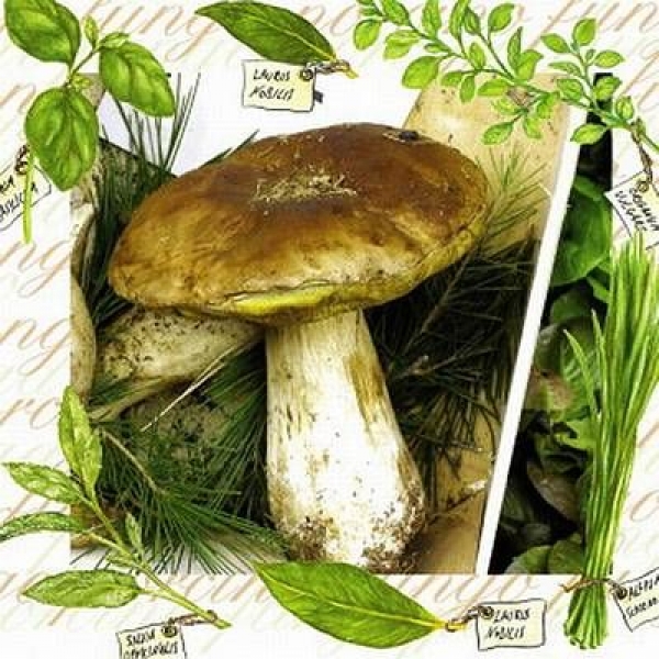 s9z11420 - Funghi - Servietten - Packung - 40 Stück