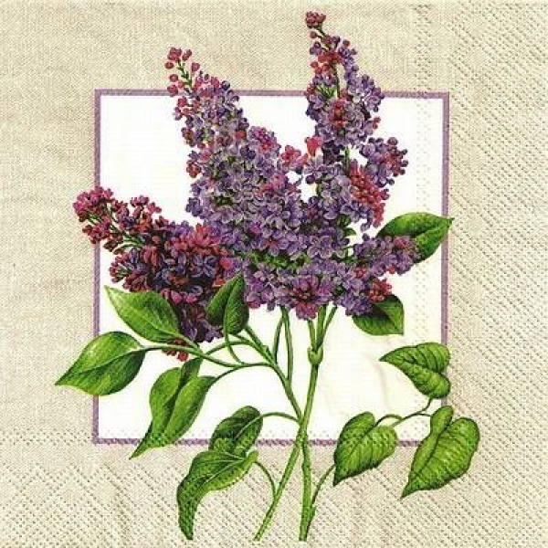 s9z11446 - Syyringa - Servietten - Packung - 20 Stück
