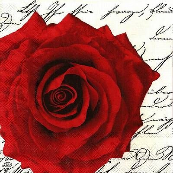 s9z11449 - In Love - white - Napkins - Package - 20 pcs.