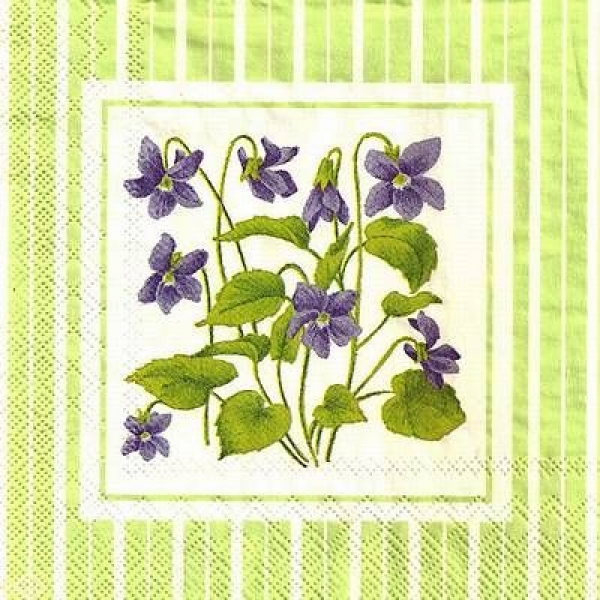 s9z11453 - Violet - green - Servietten - Packung - 20 Stück