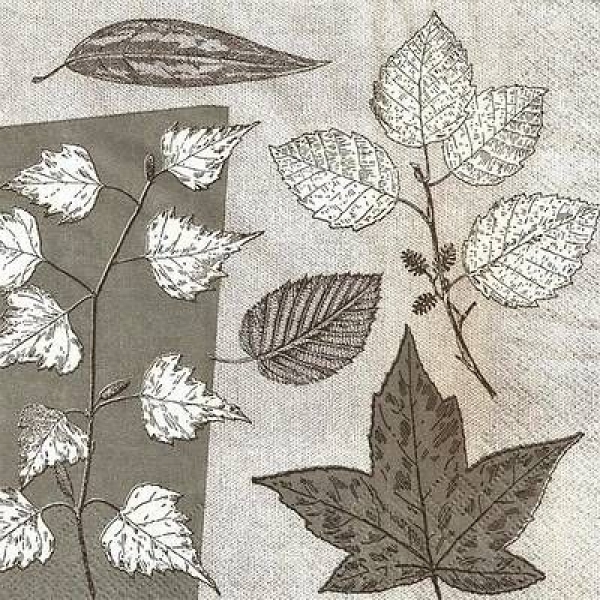 s9z11612 – Blätter - grau/weiß - Napkins - Package - 20 pcs.
