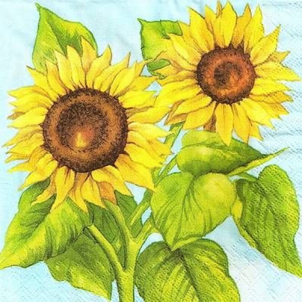 s9z11614 - Sonnenblumen – Napkins – Package - 40 pcs.