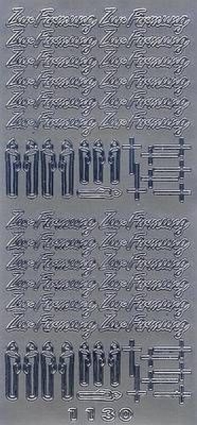sti0360 - Sticker silber - Zur Firmung