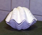 Muscheldose – 14 x 10 cm - Schrühware