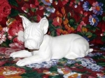 Boxer – 22 cm lang - Schrühware
