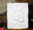 Wandkachel – Aprikosen – 23 x 15 cm – Schrühware